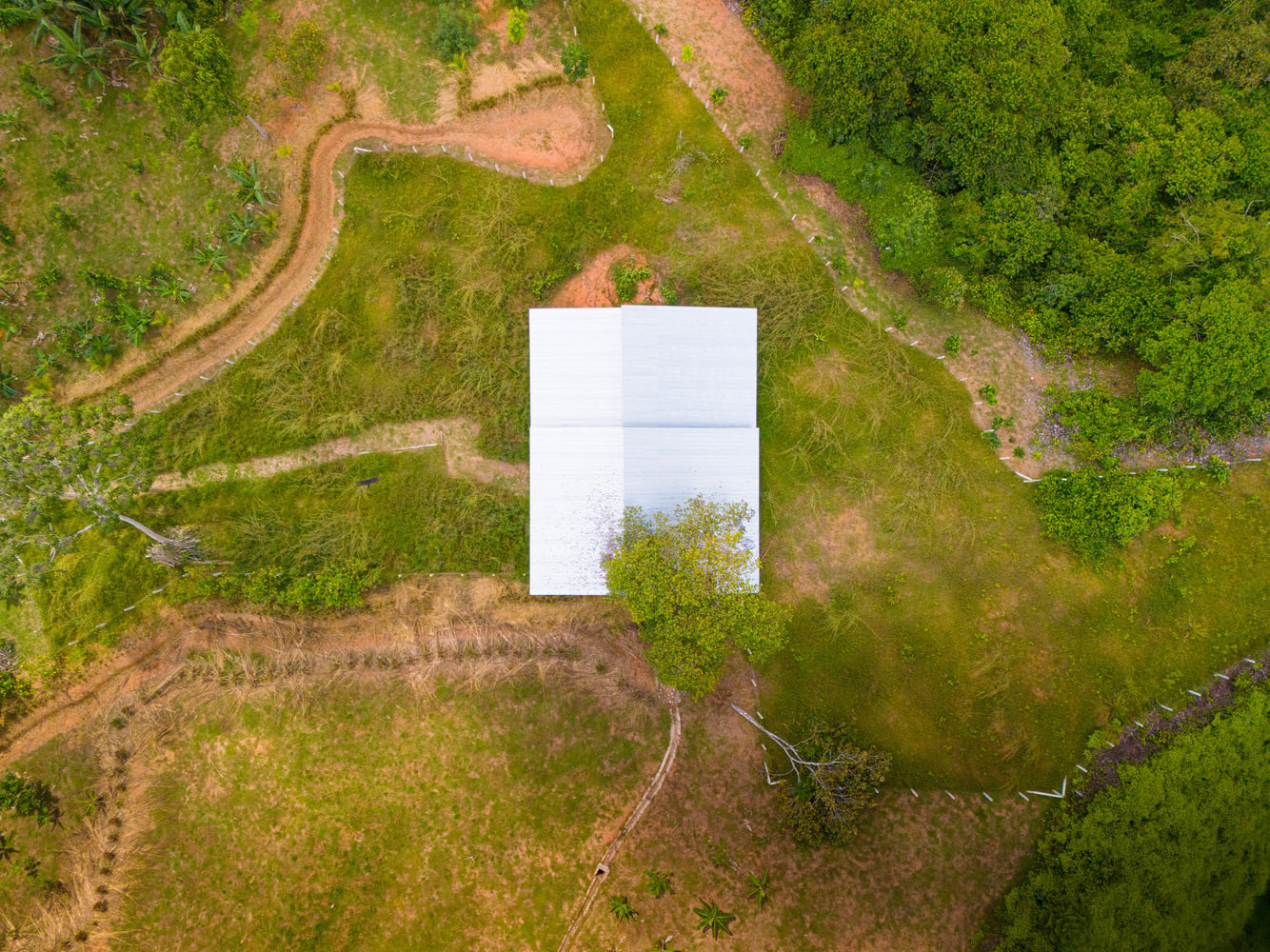 Oceanview Homestead property view