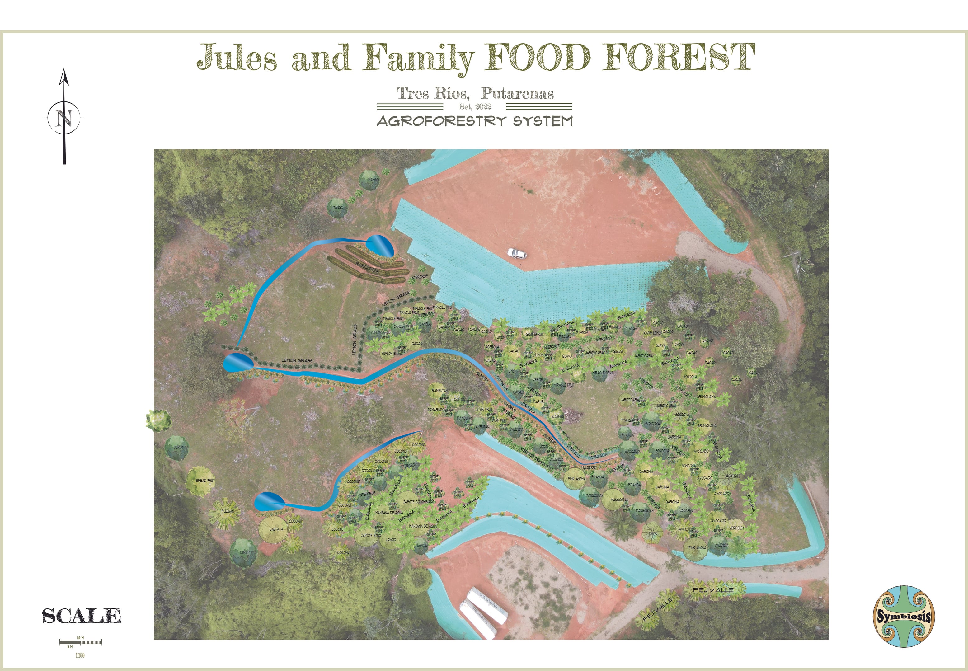 Professionally planned food forest with fruit trees