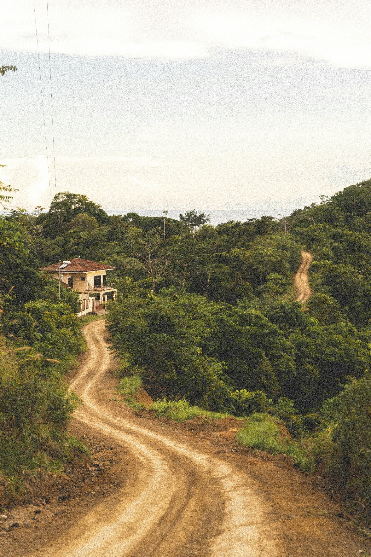 Hillside property and winding access road surrounded by forest